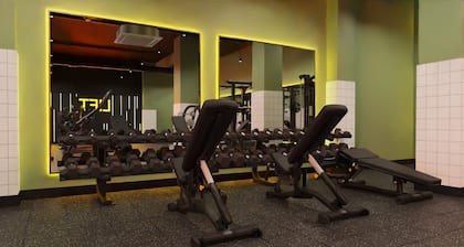 Student Only True Leicester