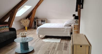 Appartement avec un lit double un canapé lit une salle de bain et une cuisine