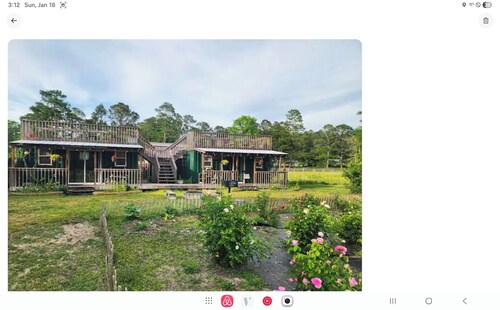 Lizzy Lous Family Farm The Bluebelle