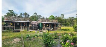 Lizzy Lous Family Farm The Bluebelle