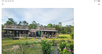 Lizzy Lous Family Farm The Bluebelle