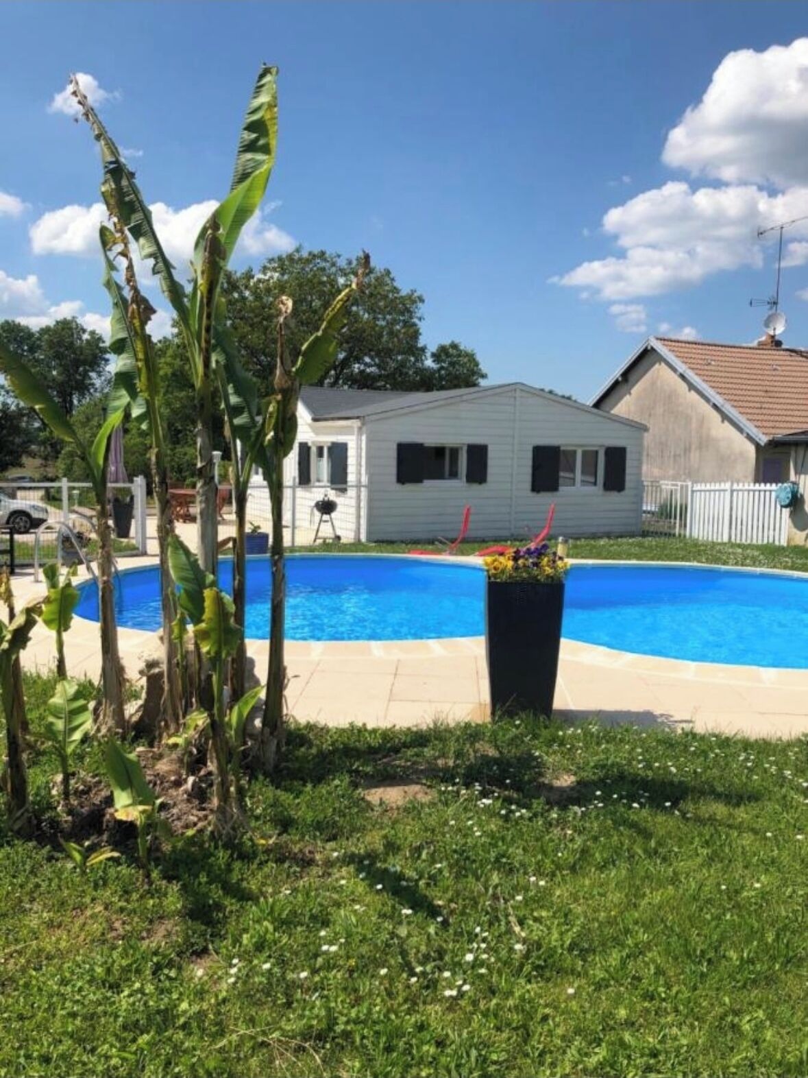 Uma área residencial com piscina, uma casa branca e uma antena parabólica.