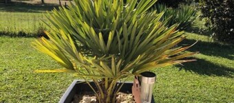 Country house with a change of scenery