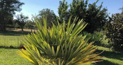 Country house with a change of scenery