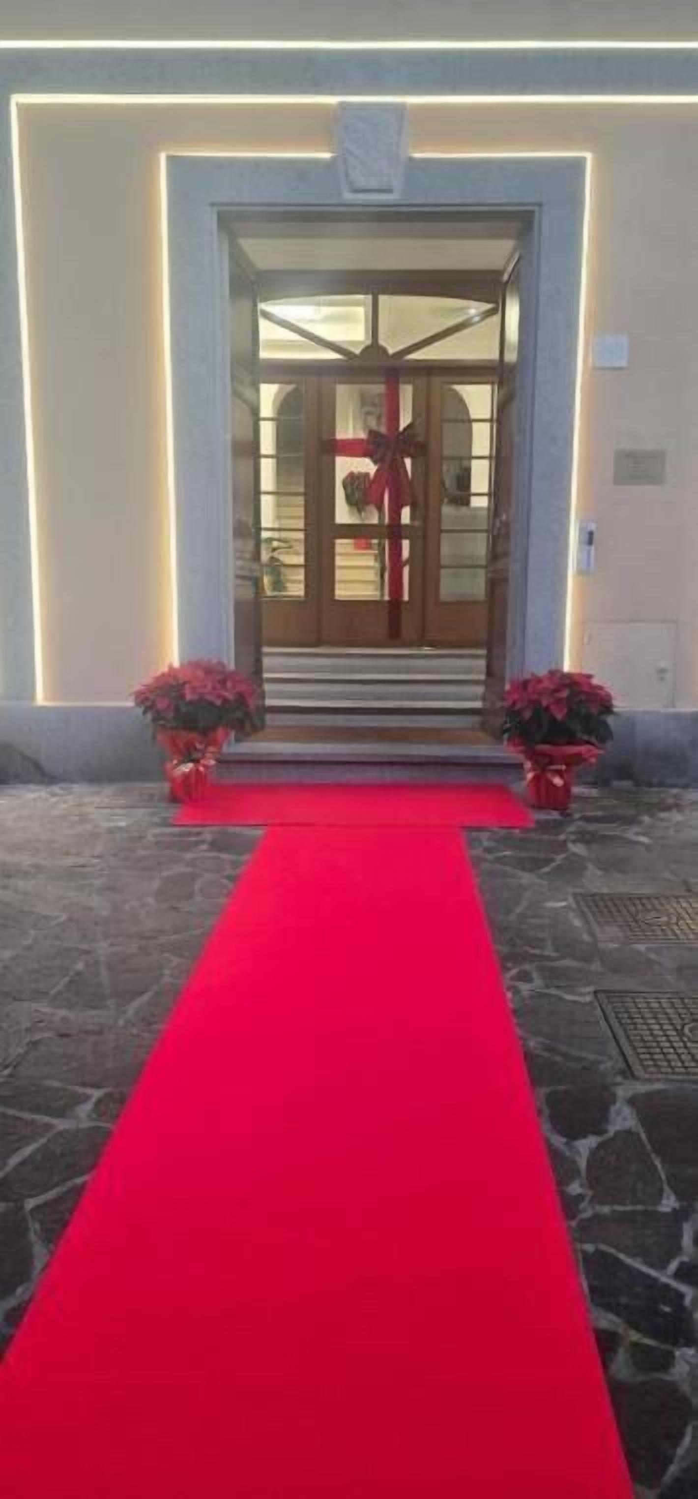A hotel entrance with a red carpet, a glass door, and two potted plants.