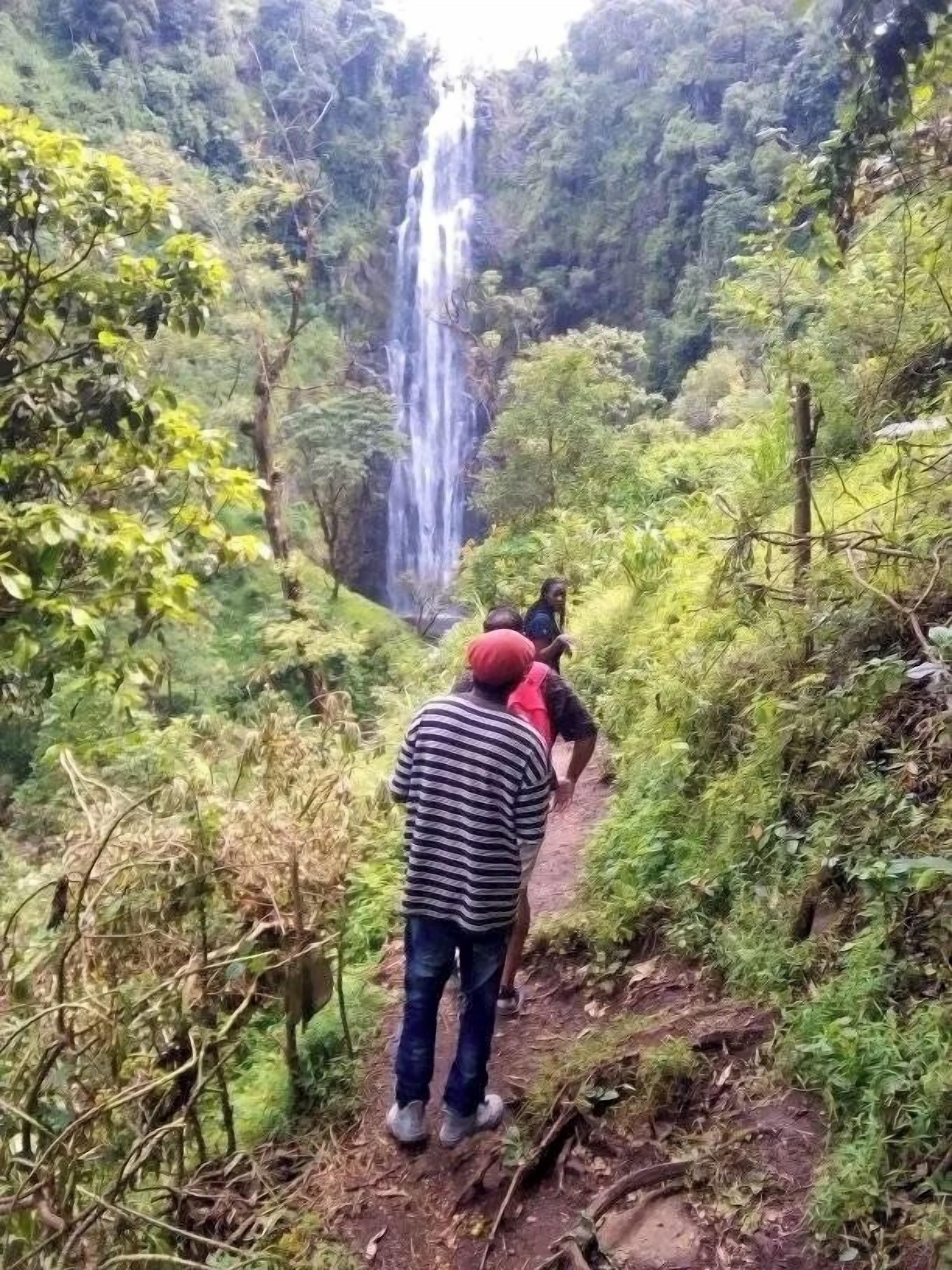 A forested area with a waterfall and a dirt path.