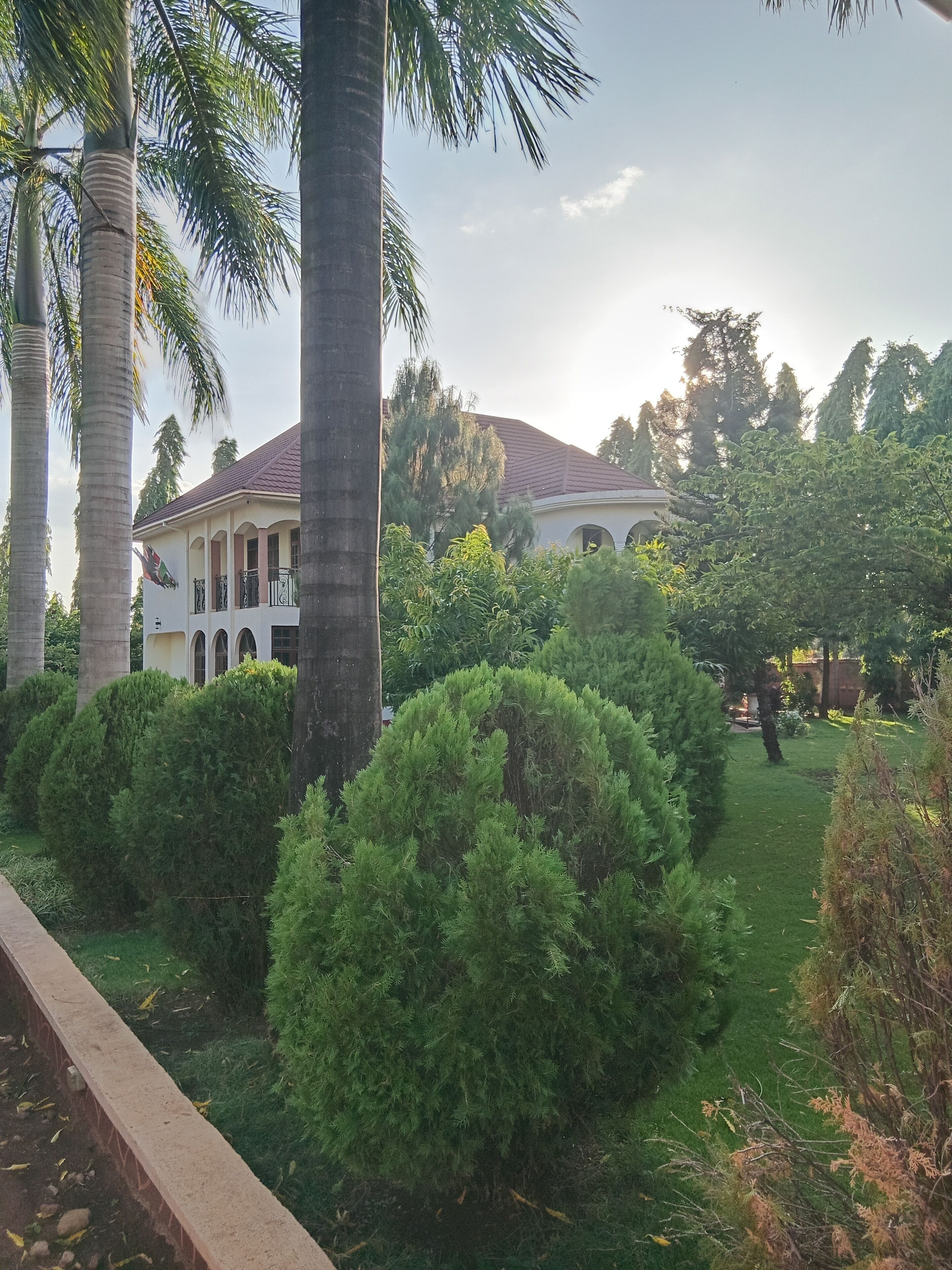 Jardin