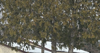 Lake Huron views, ideally located in Eastern UP.Has deck, wildlife, and privacy.