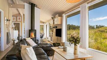 Télévision, cheminée