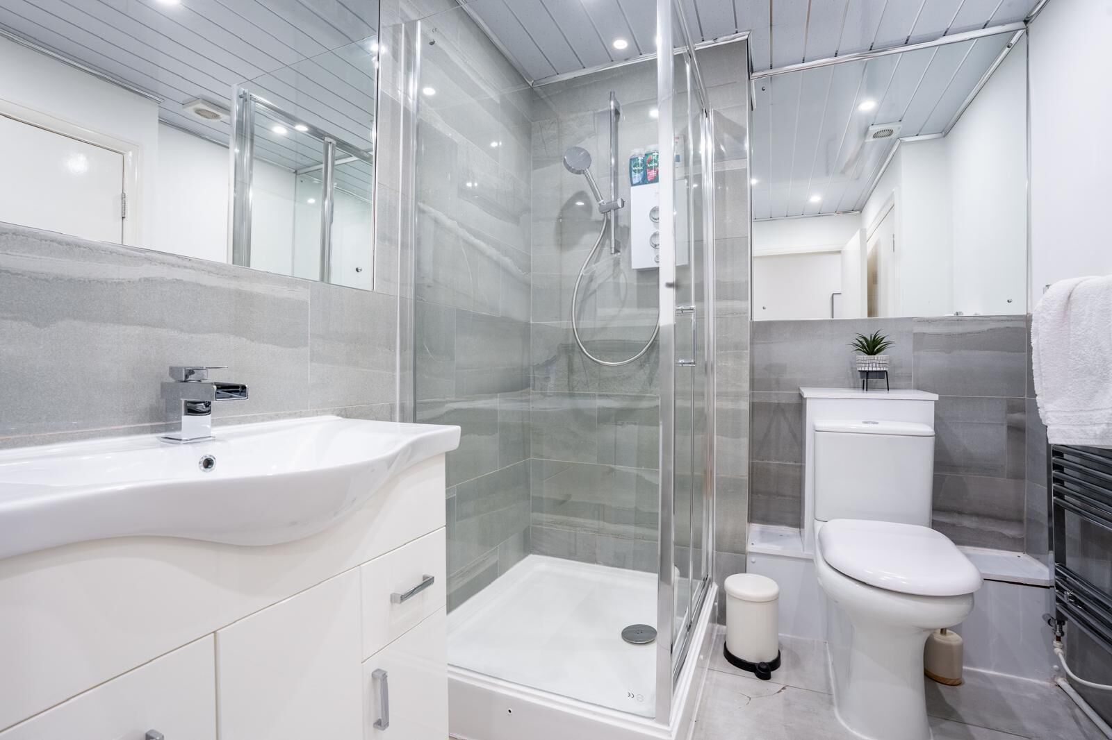 Shower, hair dryer, bidet, towels
