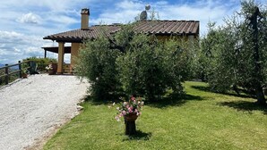 Ein Haus mit Ziegeldach, umgeben von einem gepflegten Rasen und verschiedenen Pflanzen, darunter ein auffälliger, pinkfarbener Blumentopf.