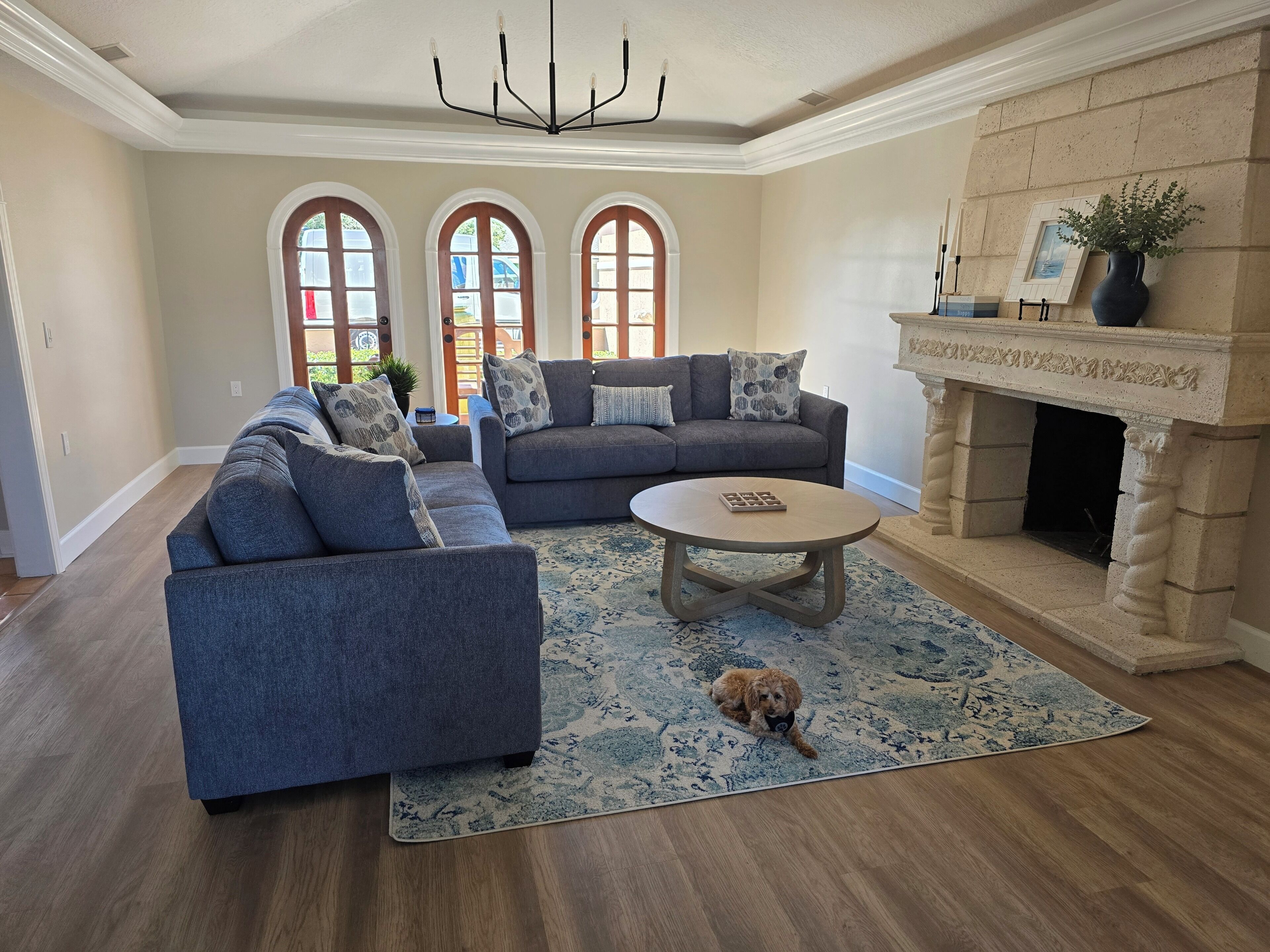 A living room with a fireplace, two sofas, a coffee table, and a dog.