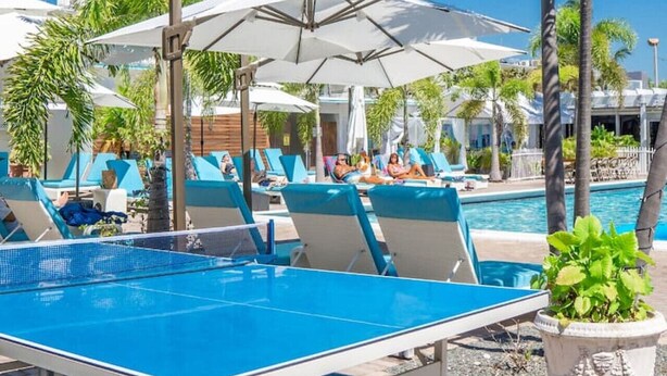 Un área junto a la piscina con sillas de descanso y sombrillas, una piscina y palmeras.