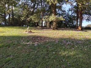 Overnatningsstedets område