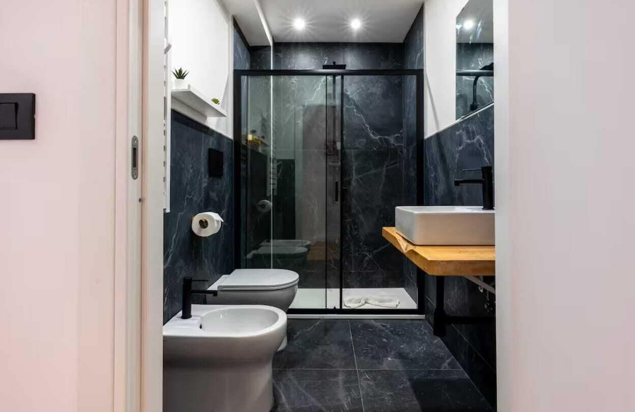 Shower, hair dryer, bidet, towels