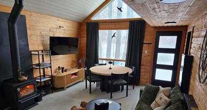 newly renovated cabin steps from the lake, perfect for family vacays or sports