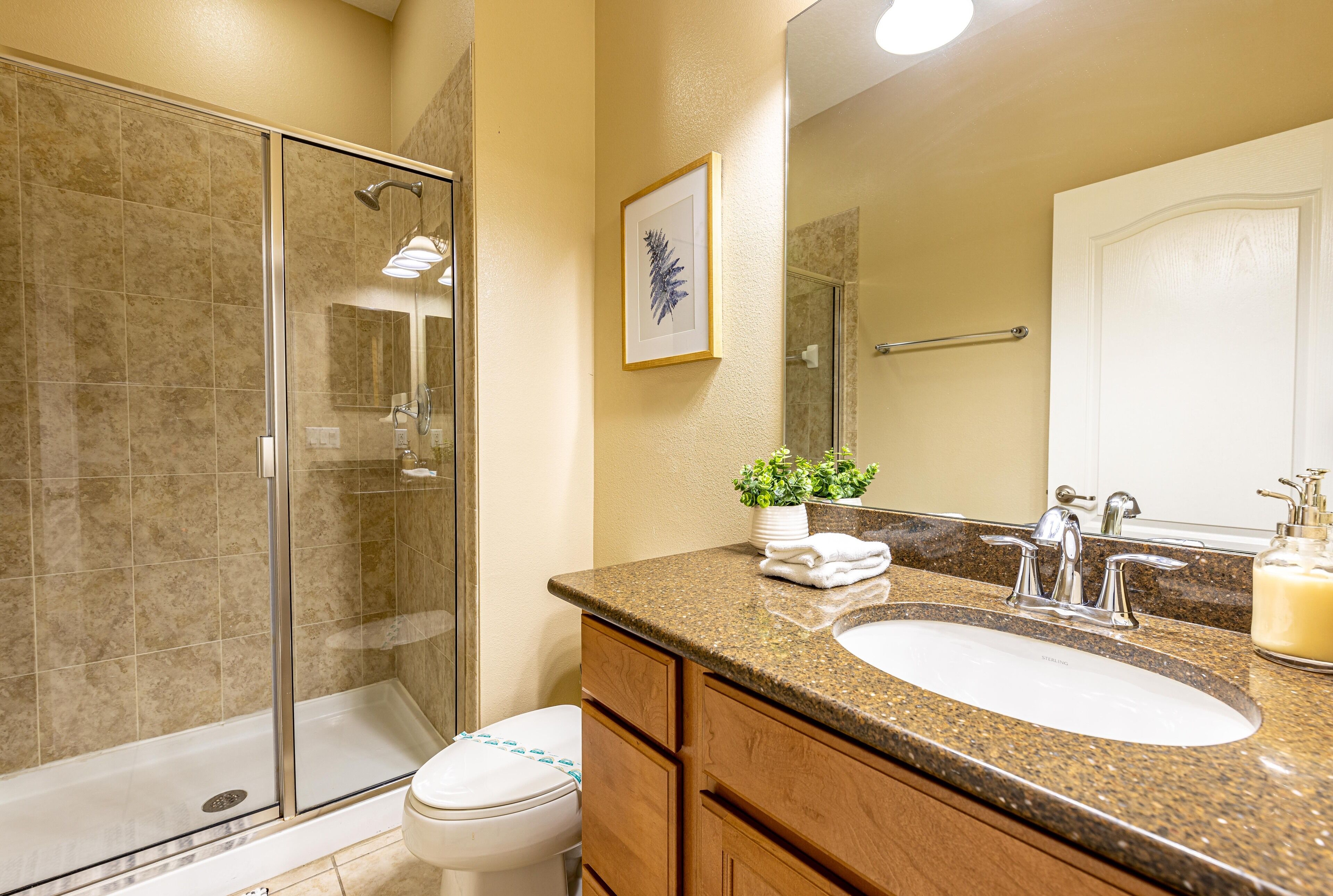 A bathroom with a glass shower enclosure, a white toilet, a granite countertop sink, wooden cabinets, a potted plant, and a framed artwork on the wall.