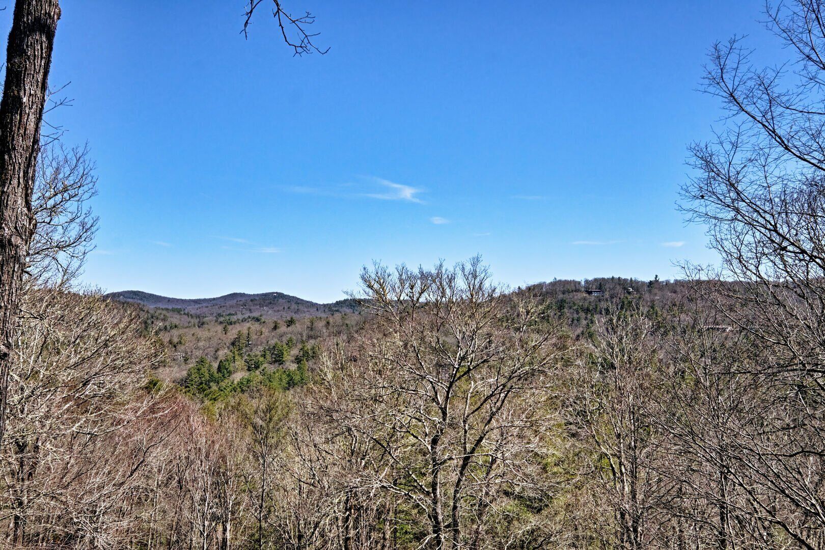 Eine gebirgige Landschaft mit dichtem Wald und strahlend blauem Himmel.
