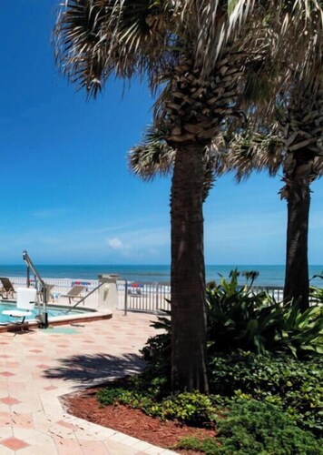 Driftwood Ocean View Dreams on Daytona Beach