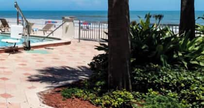 Driftwood Ocean View Dreams on Daytona Beach