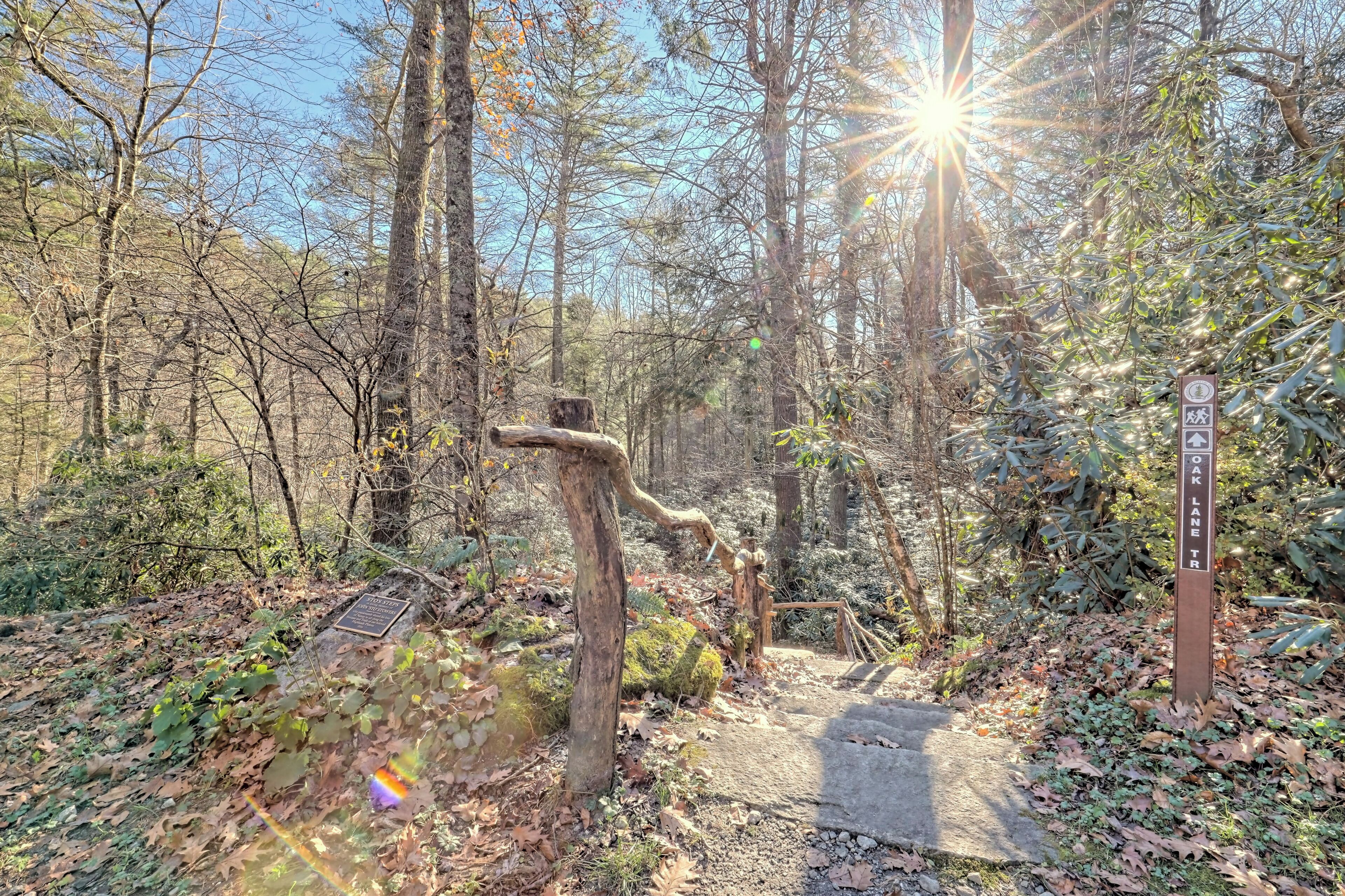 Ett skogsområde med en träskylt som visar vägen till vandringsleden "Oak Lane Trail".