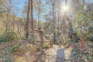 Interior - The Spotted Owl (Highlands)