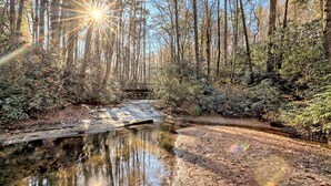 A forested area with a stream and a bridge. - The Spotted Owl (Highlands)