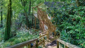 Une terrasse en bois avec un escalier menant à une cabane perchée dans les arbres, située dans une zone boisée.