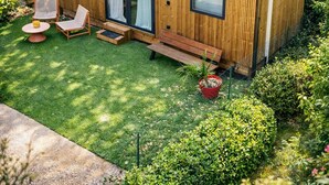 A small wooden cabin with a metal roof, a patio with outdoor furniture, and a garden area.