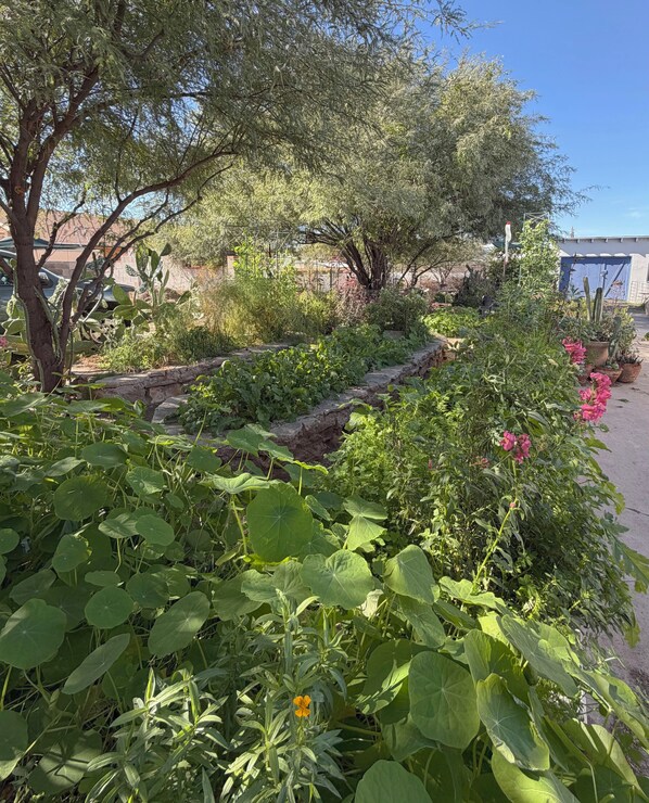 Áreas de la propiedad