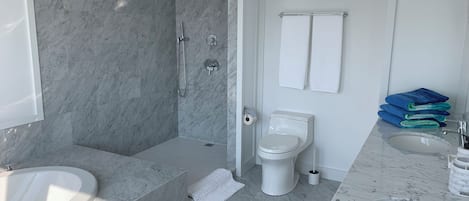Douche, baignoire à remous, séchoir à cheveux, serviettes fournies
