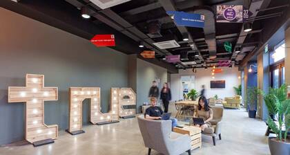 Student Only True Swansea