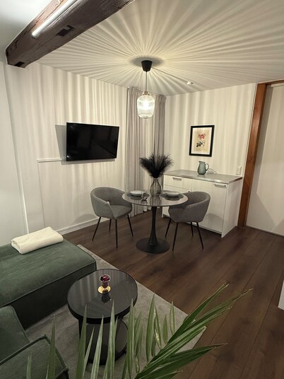 Beautiful furnished 2-room apartment in central Ludwigsburg
