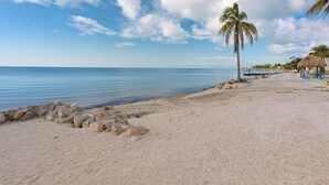 Une plage avec un palmier, une structure à toit de chaume et un ciel dégagé.