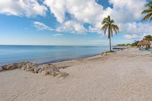 Beach nearby, sun-loungers - Salt Life  2Bed/2Bath Beachfront Condo with Pool & Elevator Access (Marathon)