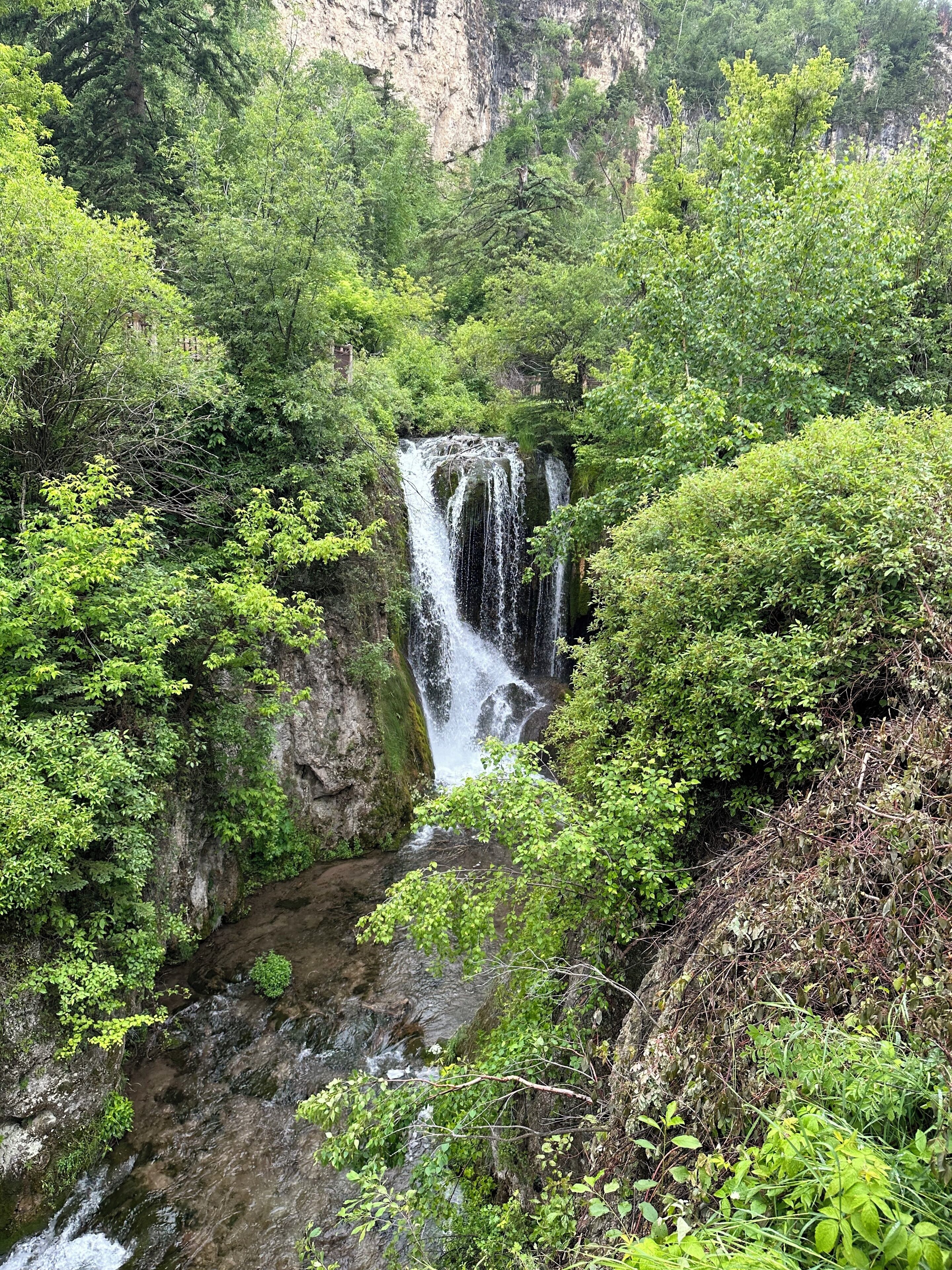 A waterfall surrounded by dense green foliage.
