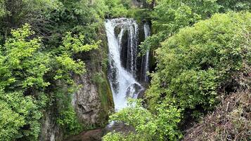A waterfall surrounded by dense green foliage.