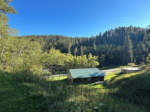 Property grounds - Come stay at our Terry Gulch cabin - Lose the Noise and Experience the Hills. (Lead)