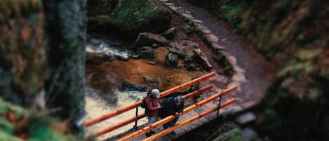 Een houten brug over een stromende rivier in een bebost gebied.