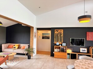 TV connectée, cheminée, lecteur de DVD, livres