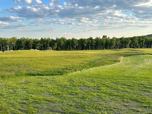 A vast, open grassy field with a line of trees in the background under a partly cloudy sky.