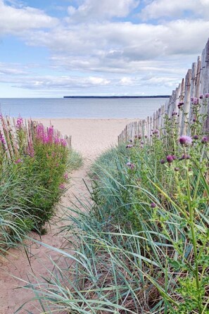 A sandy beach path leading to the sea, bordered by wooden fences and flowering plants. - "Die Mündungswohnung" by Interhome (Dundee)