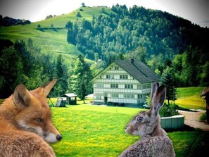 Unterkunftsgelände
