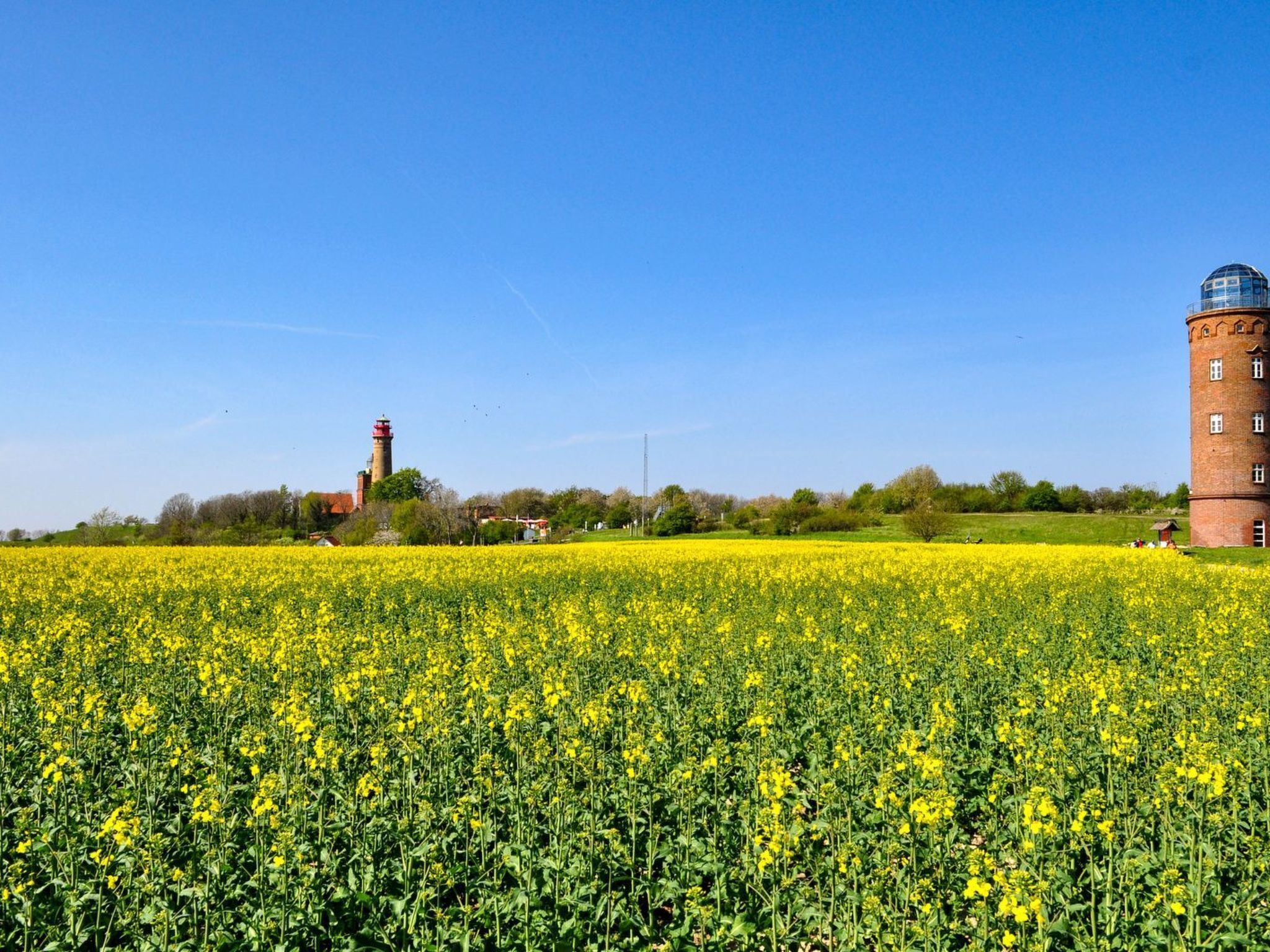 Un campo de flores amarillas con una torre de ladrillo y un faro al fondo.