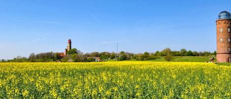 Un campo de flores amarillas con una torre de ladrillo y un faro al fondo.