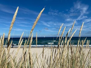 A beach with tall grasses in the foreground and the ocean in the background. - Ostseehaus am Naturstand - Arkonablick by Interhome (Breege)