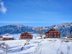 Exterior - Liebevoll sanierte Wohnung in einem alten Bregenzerwälderhaus by Interhome (Schwarzenberg)