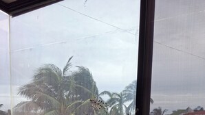 A window with a view of palm trees and a red-roofed building. - MINISUITE with river view (Boca del Río)