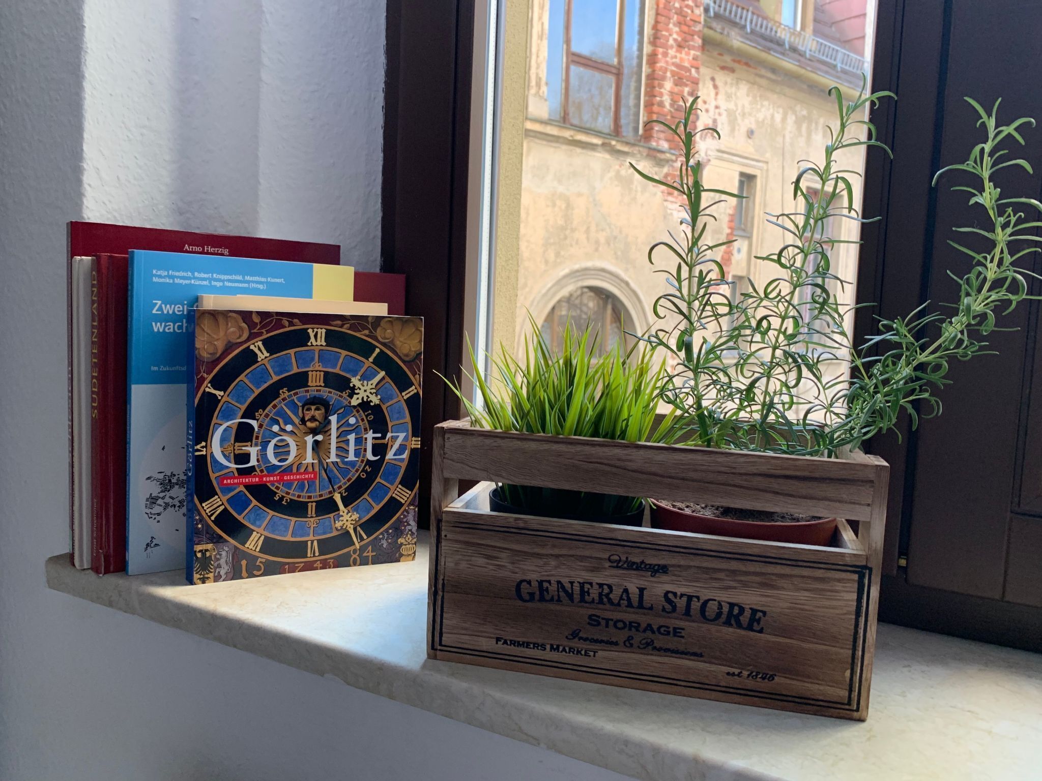 Een houten kist met de tekst 'Vintage General Store Storage', waarin een plant staat, geplaatst op een vensterbank naast boeken.