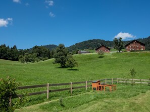 Property grounds - Neue Ferienwohnung in Schwarzenberg mit Garten und Grill by Interhome (Schwarzenberg)